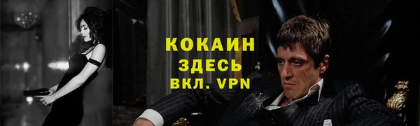 a pvp Алзамай