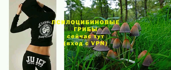 a pvp Алзамай